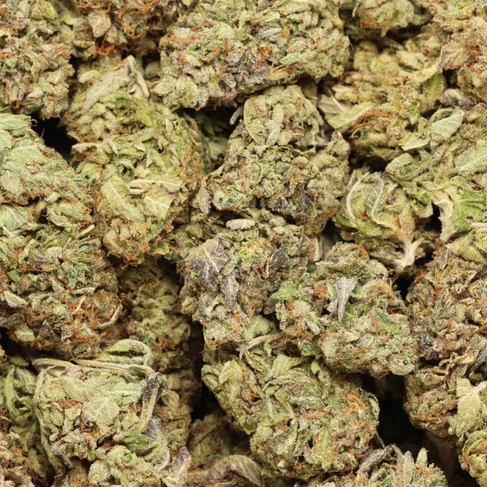 EL Chapo cannabis