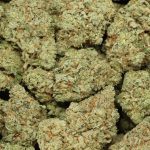 Gas Monkey cannabis