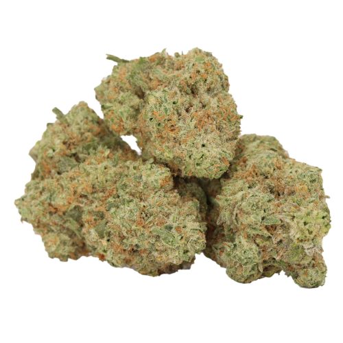 Girl Scout Cookies strain cannabis