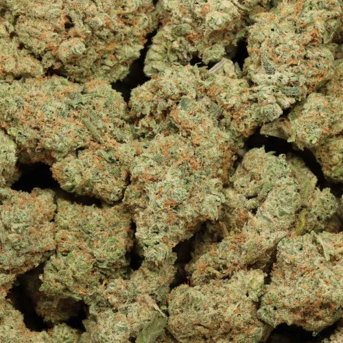 Girl Scout Cookies cannabis