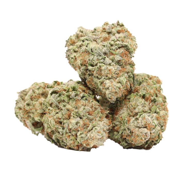 God's Green Crack strain cannabis