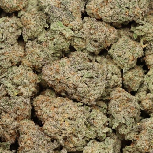 God's Green Crack cannabis wholesale