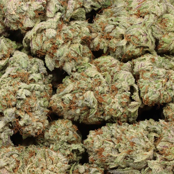 God's Green Crack cannabis