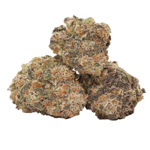 Gorilla Glue #4 strain cannabis