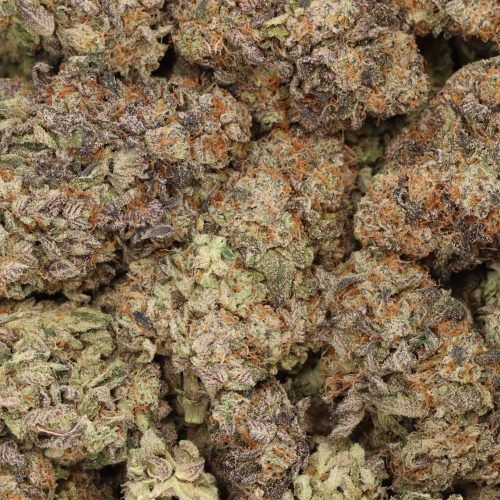 Gorilla Glue #4 cannabis wholesale