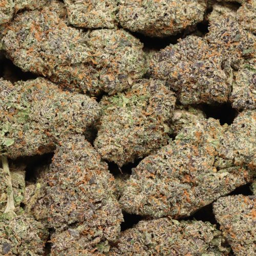 Hawaiian Runtz cannabis