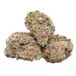 Huckleberry Soda strain cannabis