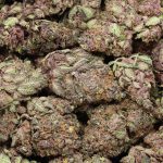 Huckleberry Soda cannabis