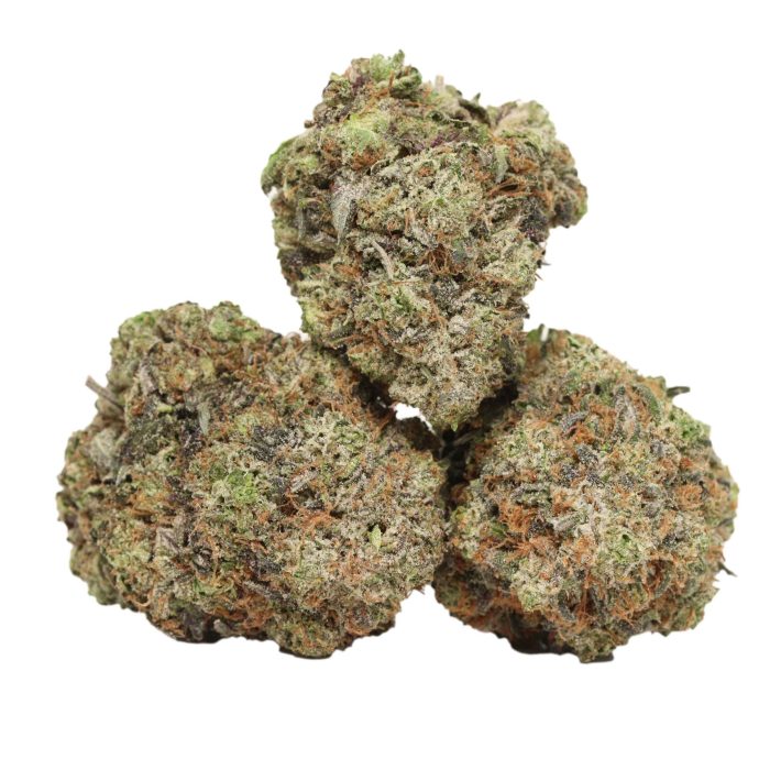 Hydro Pink Kush strain cannabis
