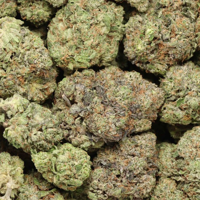 Hydro Pink Kush cannabis