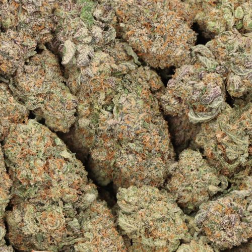 Jet Fuel cannabis