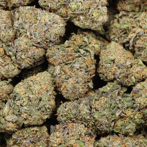 Khalifa Kush cannabis
