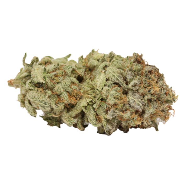 Lemon Haze weed cannabis