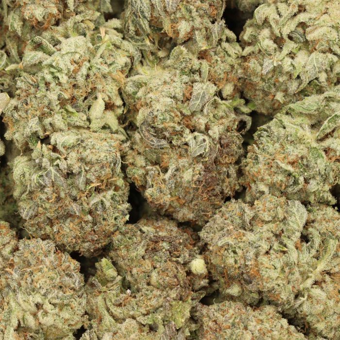 Lemon Haze cannabis