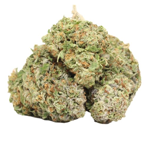 London Truffle strain cannabis