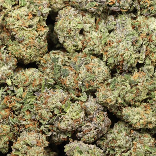 London Truffle cannabis