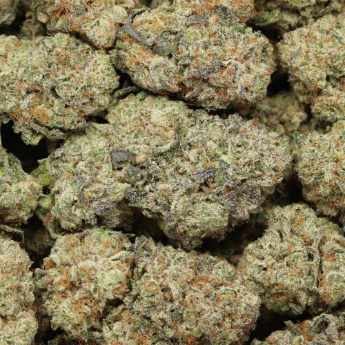 Mandarin Cookies craft cannabis