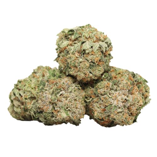 Master Kush strain cannabis