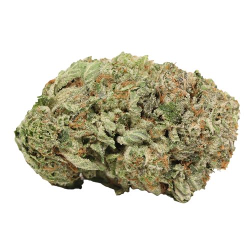 Master Kush weed cannabis