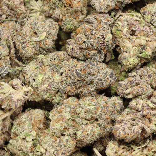 Orange Kush cannabis