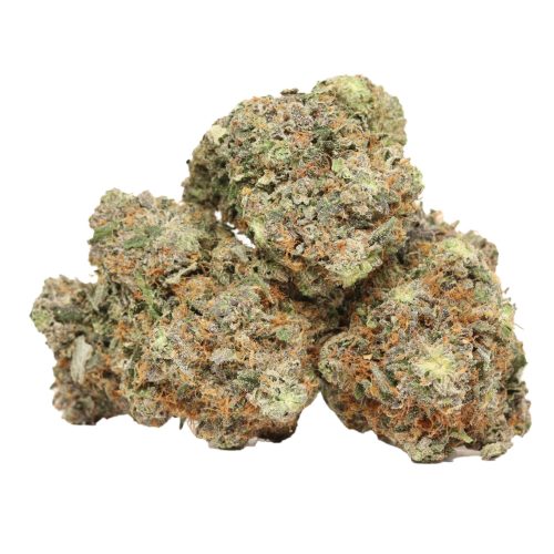 Pink Chapo LSO strain craft cannabis