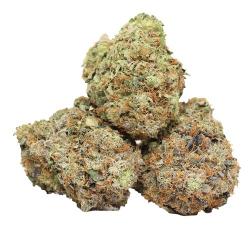 Pink Kush strain craft cannabis