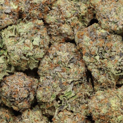 Pink Kush craft cannabis