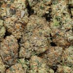 Pink wagyu craft cannabis