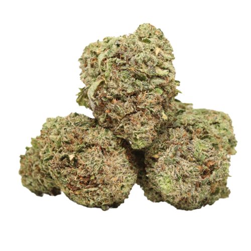 Platinum Kush strain cannabis