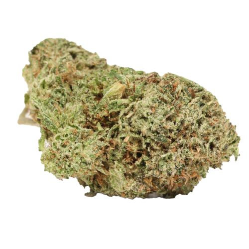 Platinum Kush weed cannabis