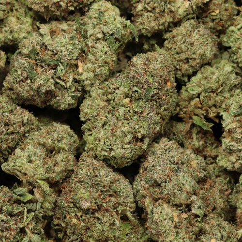 Platinum Kush cannabis