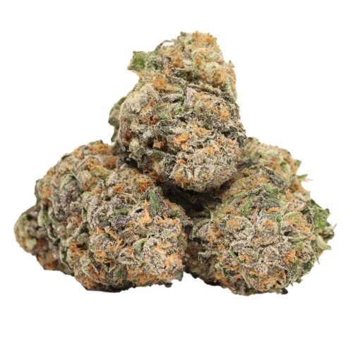Purple Banner strain cannabis