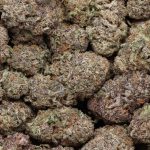 Purple Diamond cannabis