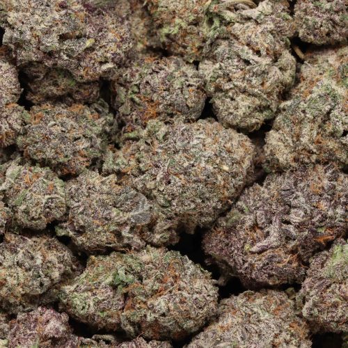 Purple Diamond cannabis
