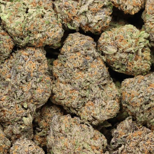 Purple Dank Breath craft cannabis