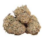 Purple Goo strain cannabis