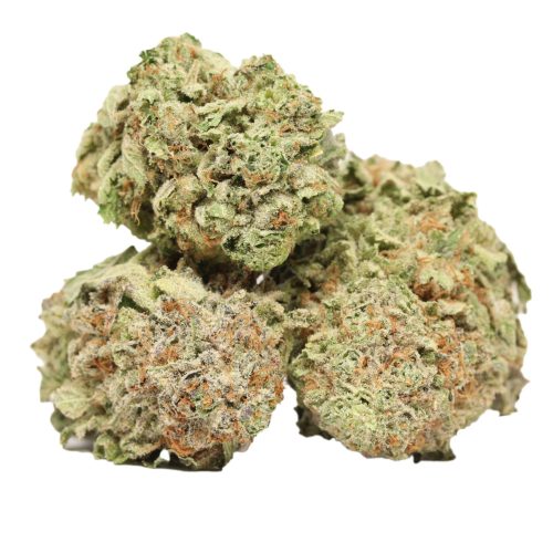 Red Congolese strain cannabis