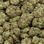 Rockstar OG cannabis