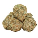 Silver Surfer strain cannabis