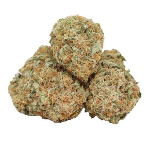 Silver Surfer strain cannabis