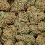 Silver Surfer cannabis