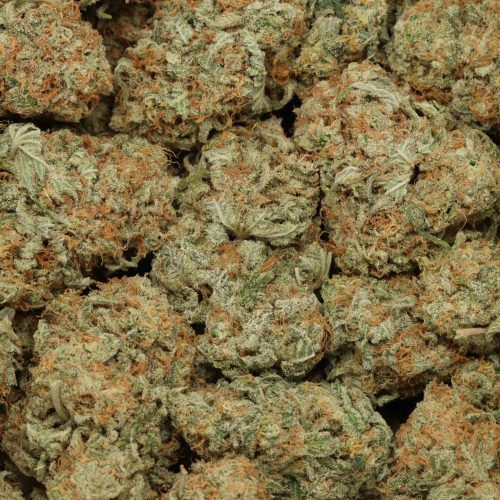 Silver Surfer cannabis
