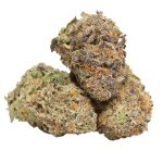 Stankasaurus strain cannabis