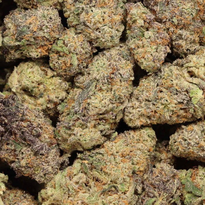 Stankasaurus cannabis
