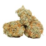 Strawberry Cough strain cannabis