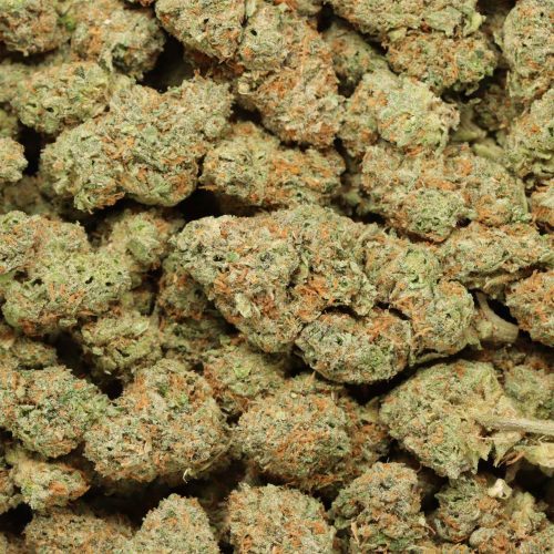 Sunset Sherbert cannabis