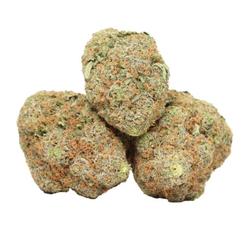 Super Lemon Haze strain cannabis