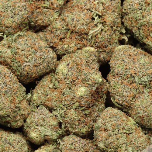 Super Lemon Haze cannabis