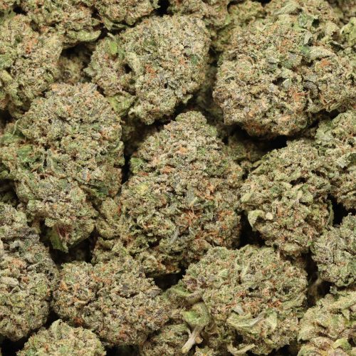Tom Ford Pink Kush cannabis