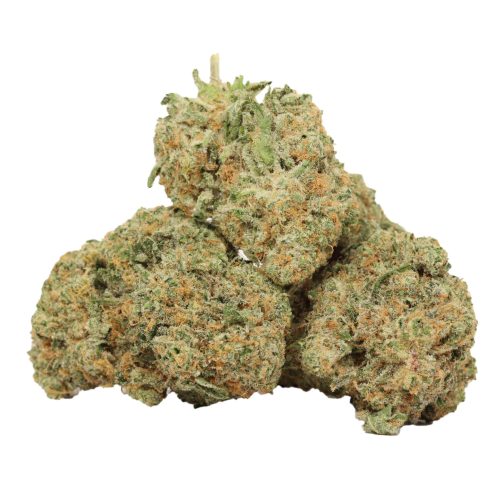 Tropicanna Banana strain cannabis